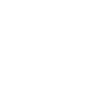 Pre-Sale-Cleaning